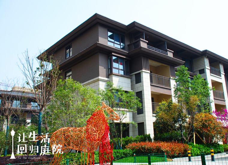 前后张望南阳50年：这样的庭院，，，，，，，很难再有了！