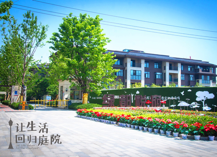 前后张望南阳50年：这样的庭院，，，，，，，很难再有了！