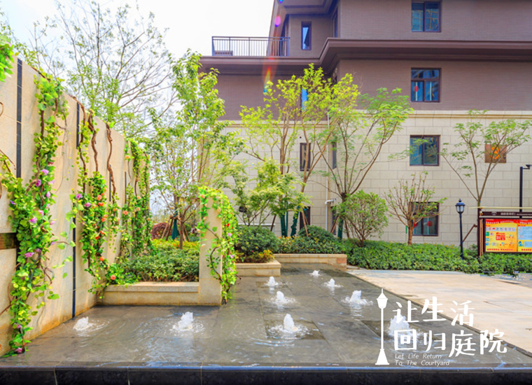 前后张望南阳50年：这样的庭院，，，，，，，很难再有了！