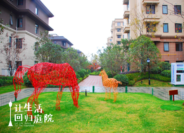 前后张望南阳50年：这样的庭院，，，，，，，很难再有了！