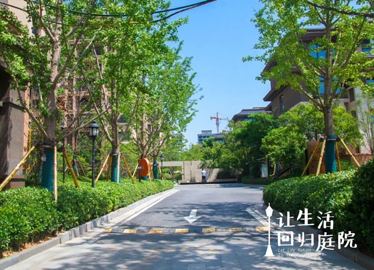 前后张望南阳50年：这样的庭院，，，，，，，很难再有了！