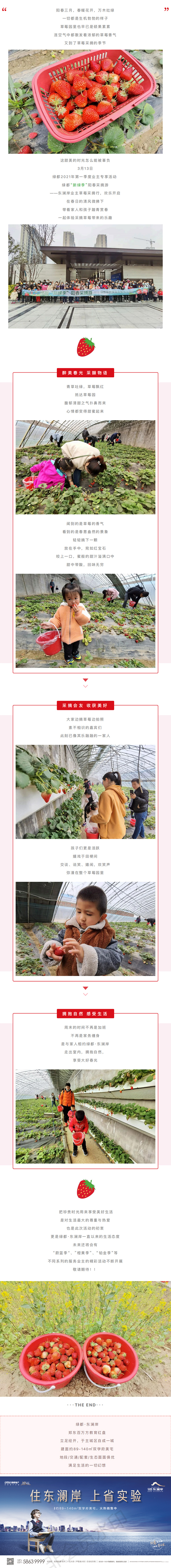 草莓采摘行|“莓”好偕行，，，，，，不负春日好时光