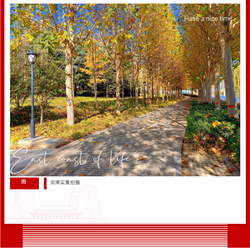 年终薅好房，，，，，这个明星红盘把“出圈”举行究竟！